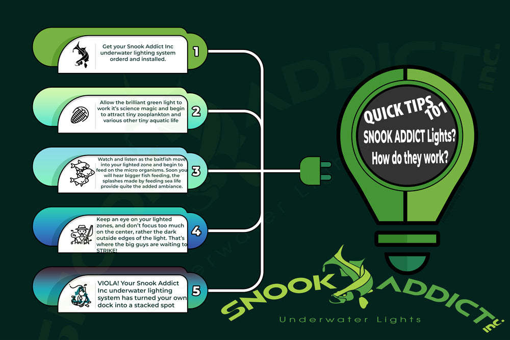 Snook Addict Quick Tips